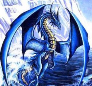 Transmission énergie des Dragons de l'eau @ ZOOM