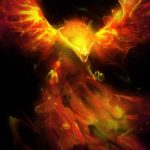 FB_IMG_1560414845273