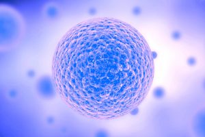 chercheurs-creent-cellule-synthetique-simple-qui-croit-divise-comme-cellule-naturelle-couv